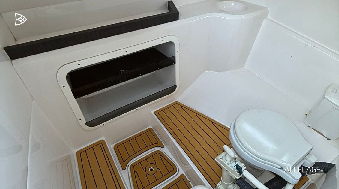 NX 250