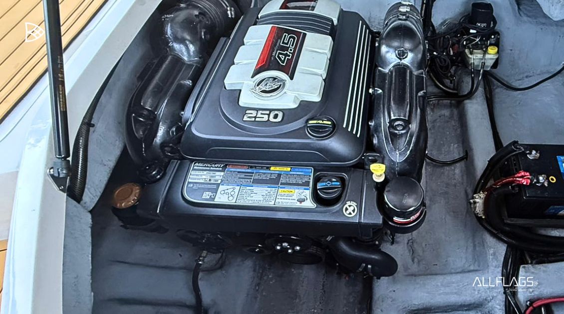 NX 250