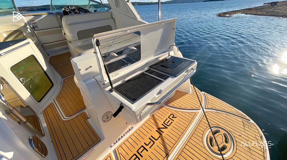 BAYLINER 310