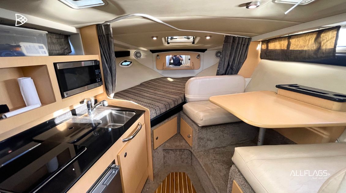 BAYLINER 310