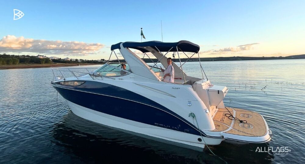 Bayliner 310 | 2016